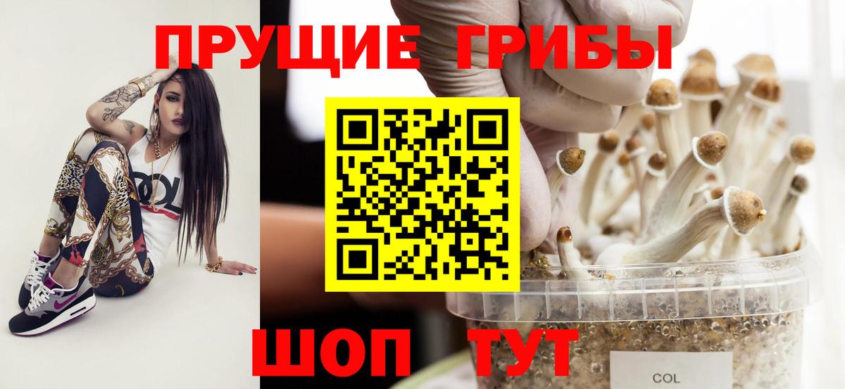 Кыштым  Псилоцибиновые грибы Psilocybine cubensis  Вход с VPN 